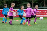 Afbeelding: Minis 2016