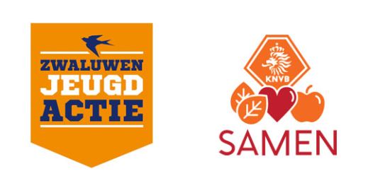 Afbeelding: zwaluwenactie