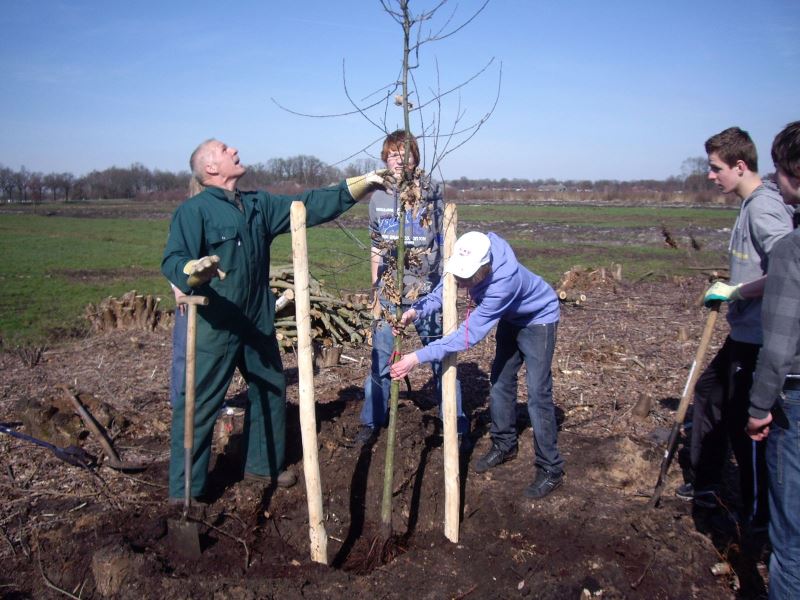 Afbeelding: 2014-03-12 Groeninplant