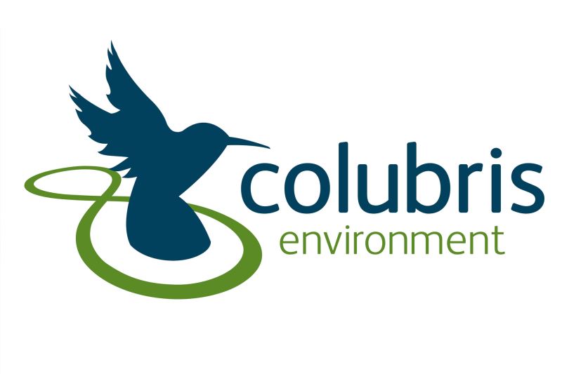 Afbeelding: Colubris
