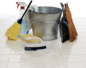 Afbeelding: 2015-05-28 Schoonmaak