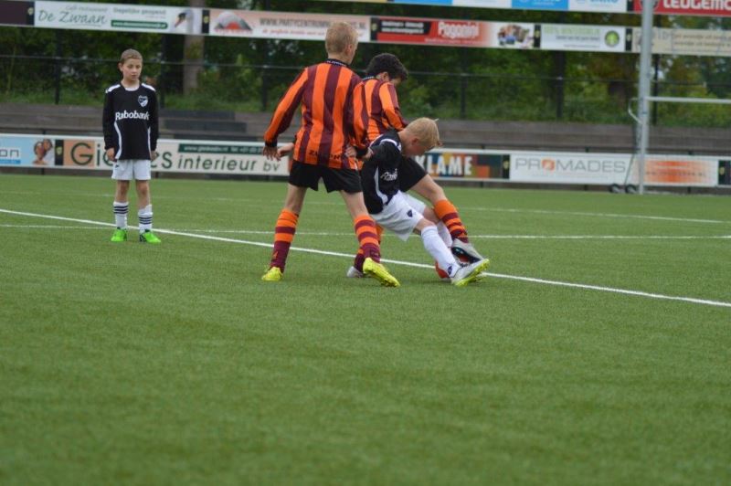 Afbeelding: 2015-05-30 Houvast