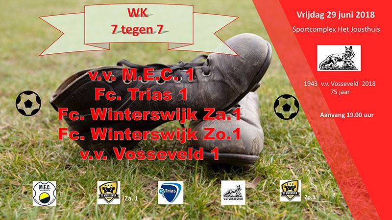 Afbeelding: 20180622WinterswijksKampioenschap7x7