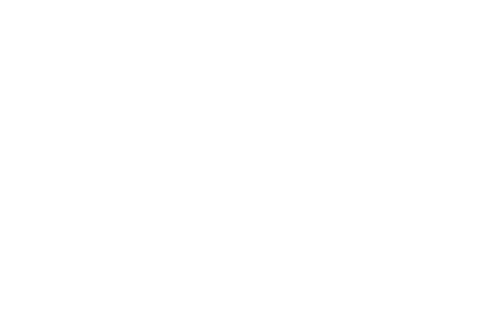 logo Boesveld