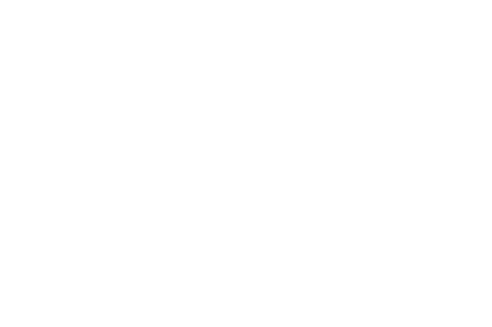 Auto Wenters