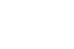 Auto Wenters