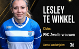 Lesleytewinkel