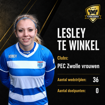 Lesleytewinkel