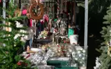 Rommelmarkt 3281