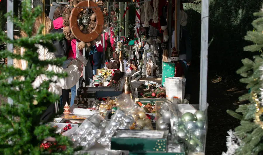 Rommelmarkt 3281