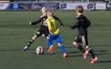 JO 8 2 2391