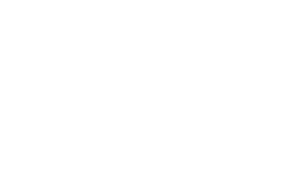 Wassink