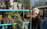 Rommelmarkt 3257
