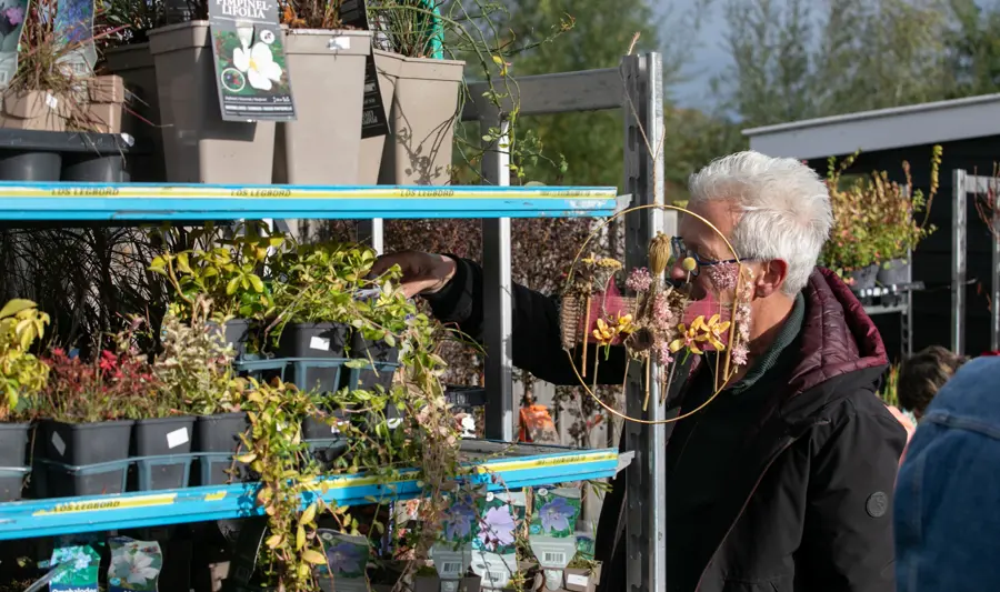 Rommelmarkt 3257