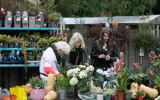 Rommelmarkt 3100