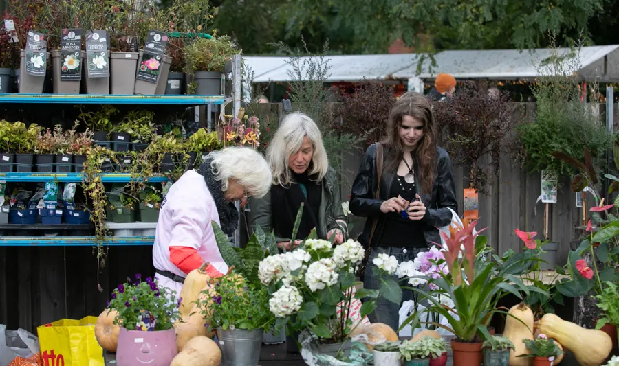 Rommelmarkt 3100