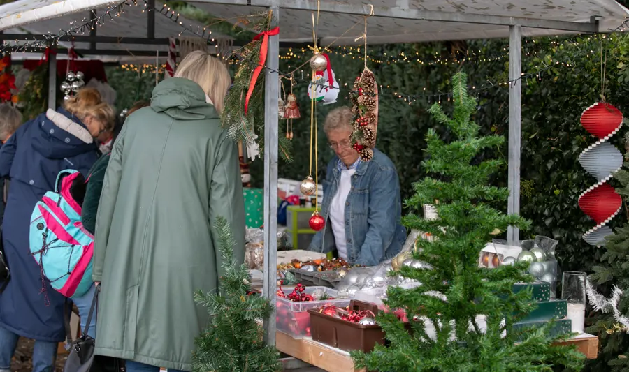 Rommelmarkt 3080