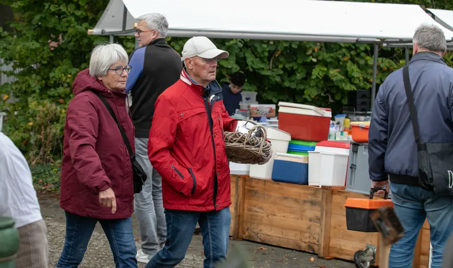 Rommelmarkt 3151
