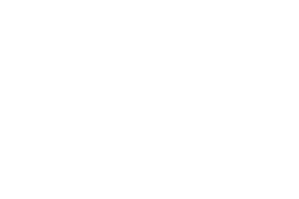 Frontis